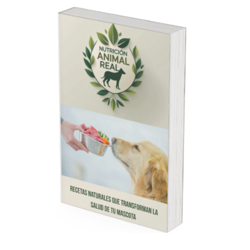 Recetas naturales para tu mascota